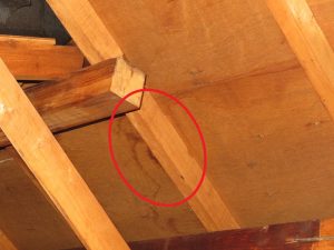 屋根のリフォーム　金属屋根への葺き替え　神奈川県厚木市Ｓ様邸-10（6月17日）