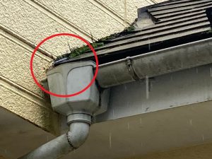 「屋根・外壁業者がお伝えする　屋根・外壁専門知識」その20（8月1日）雨漏りが多いのは屋根のどこなのか？
