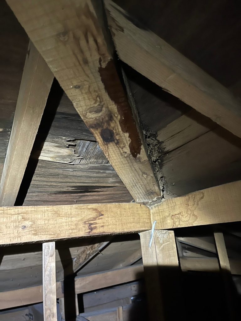 屋根リフォームの基礎知識～雨漏り編～